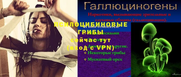 круглые Иннополис