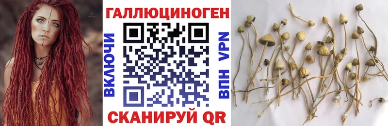 Псилоцибиновые грибы прущие грибы  Купить где  Няндома 