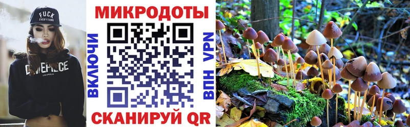 Псилоцибиновые грибы Cubensis Няндома