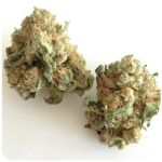 Шишки "White Widow"  (Белая вдова)  Гидропоника -  Бошка VHQ в Няндоме